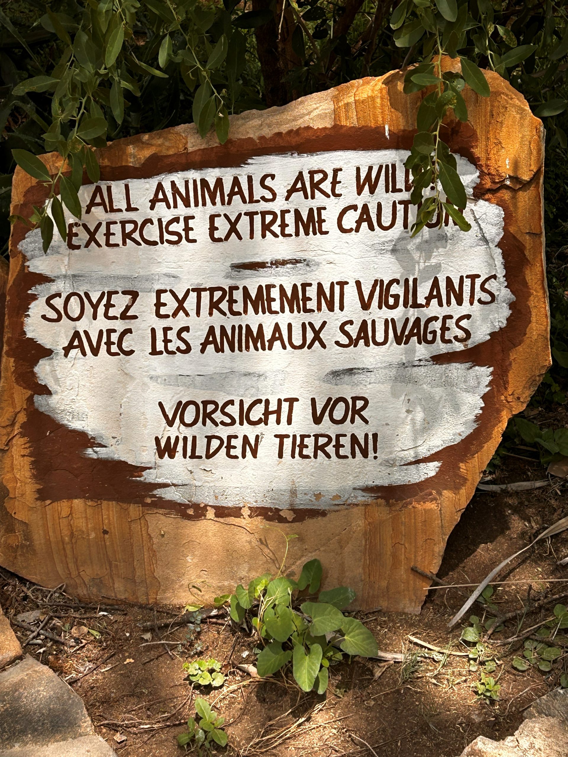 Warning sign painted on rock — All Animals Are Wild, Exercise Extreme Caution